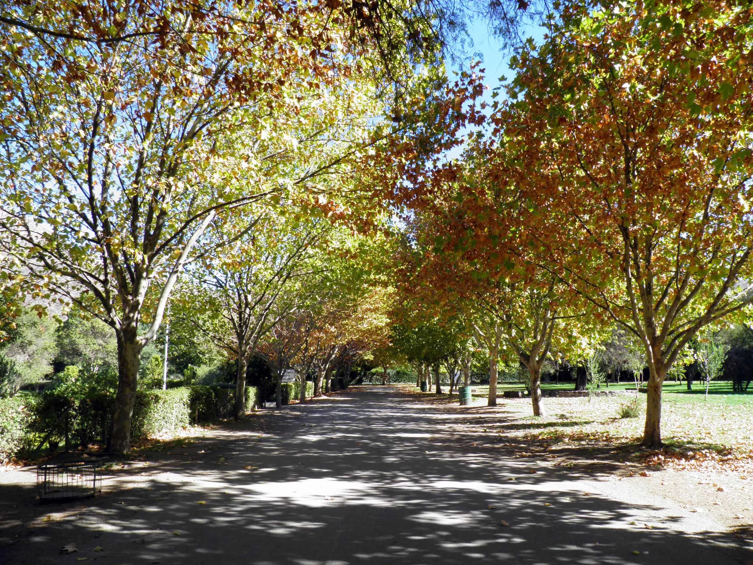 Avenida principal del Santuario