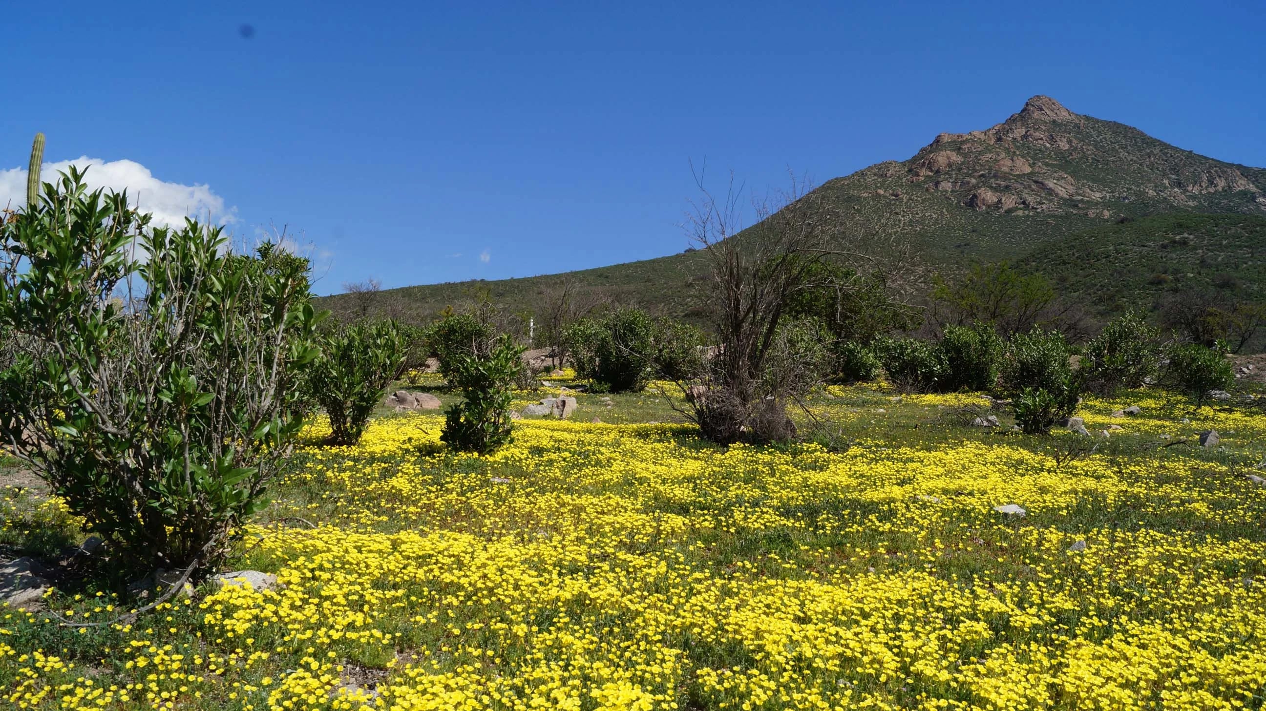 Monte del Santuario - Espacio de contemplacion